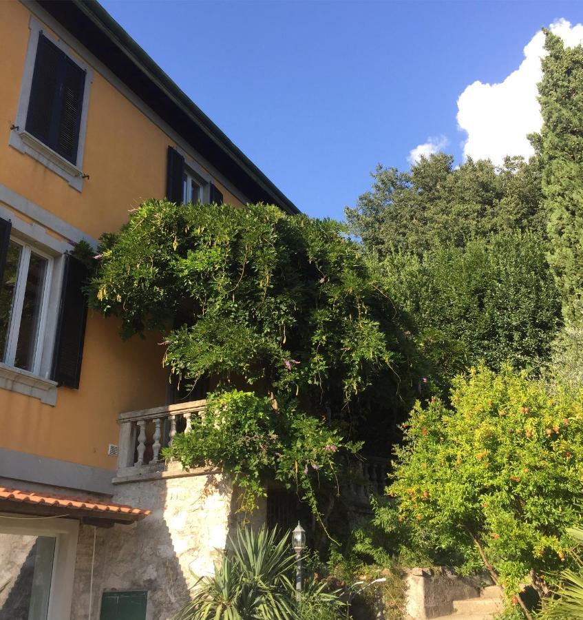 Villa Monte Bianco Mandello del Lario Εξωτερικό φωτογραφία
